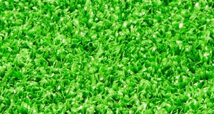 artificial grass