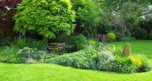 gardening competition