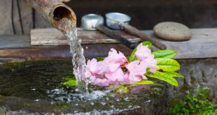 water feature