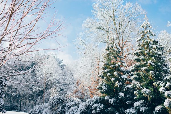 December