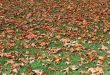 November