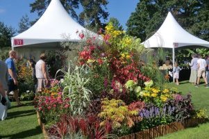 RHS Harlow Carr Flower Show