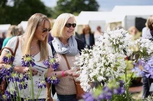 RHS Hyde Hall Flower Show