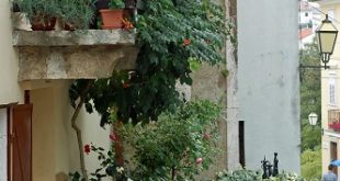 balcony planting