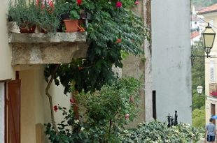 balcony planting