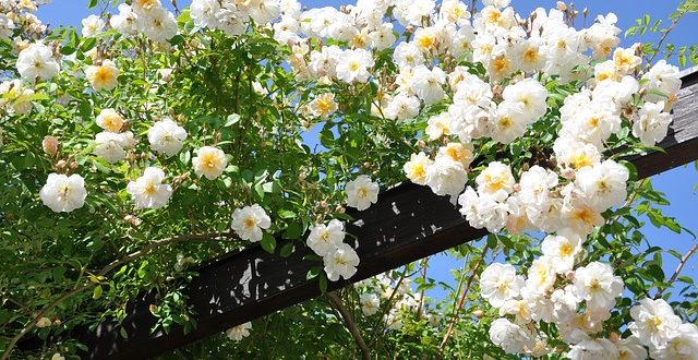 june