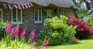 gardening for seniors