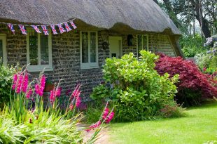 gardening for seniors