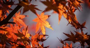 October