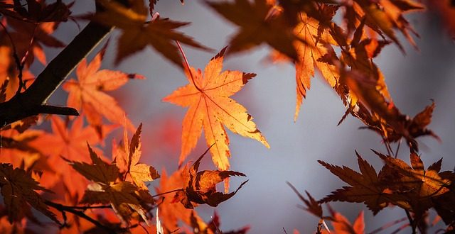 October