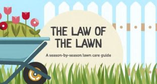 lawn care