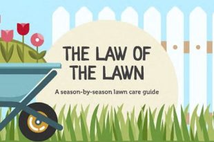 lawn care