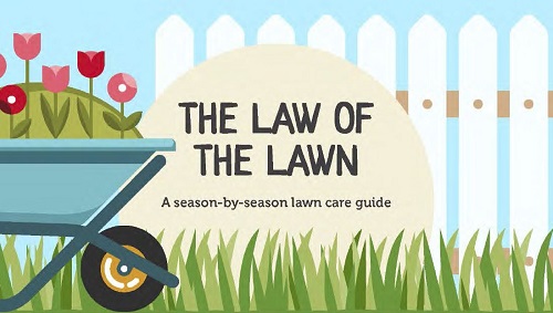 lawn care