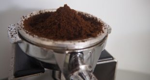 Coffee Grounds