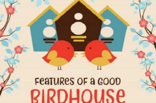 Birdhouse