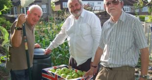 Apple Juice and Cider making