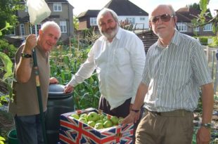 Apple Juice and Cider making