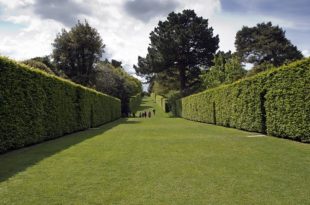 Hidcote Manor Gardens