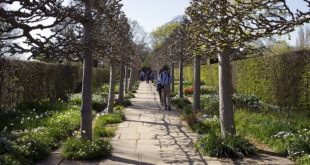 Sissinghurst Castle Gardens