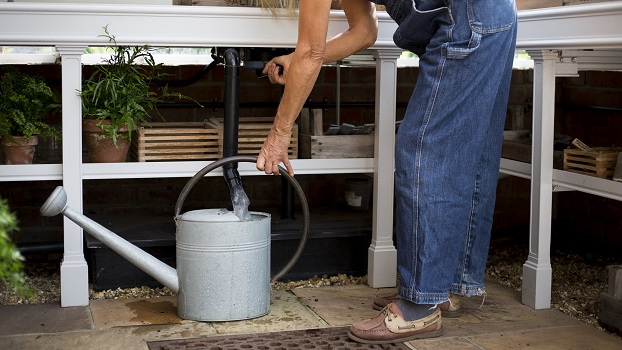 Choosing a Greenhouse