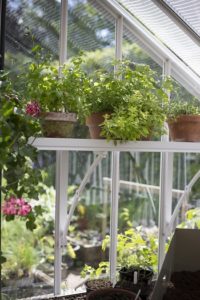 Choosing a Greenhouse