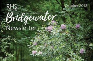RHS Bridgewater News