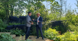 Designer Andy Sturgeon with Joe Swift on The M&G Garden, Best in Show winner 2019