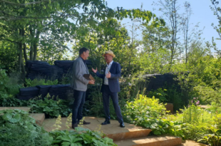 Designer Andy Sturgeon with Joe Swift on The M&G Garden, Best in Show winner 2019