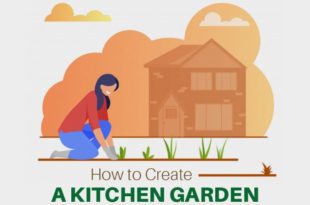 How To Create A Kitchen Garden