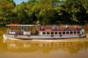 Thames River Cruises