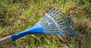 Rake