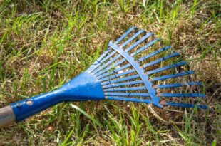 Rake