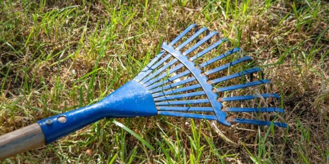 Rake