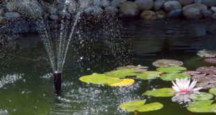 Pond Fountain