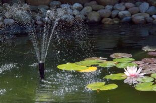 Pond Fountain