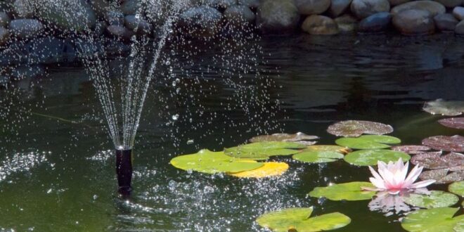 Pond Fountain