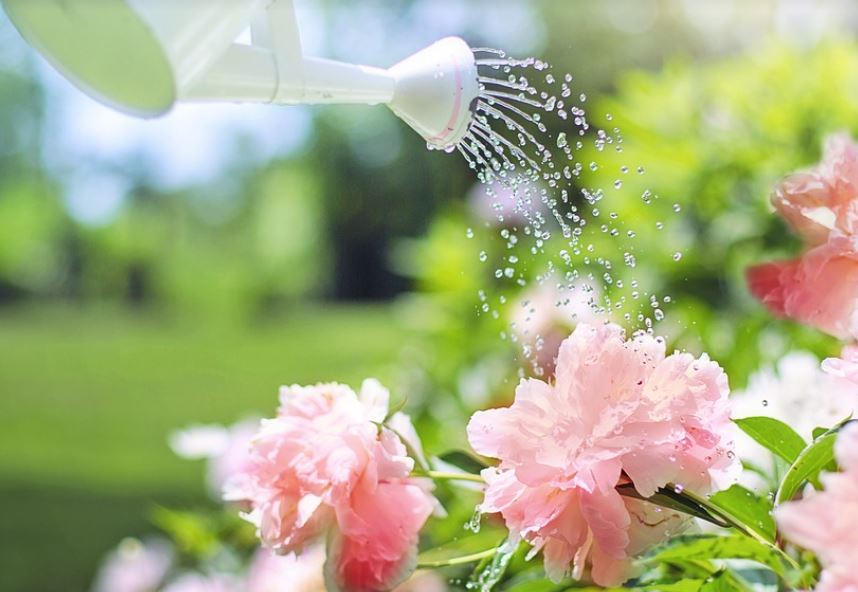 Watering Can