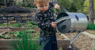 Child Gardening