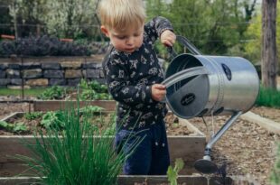 Child Gardening