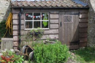 Garden Shed