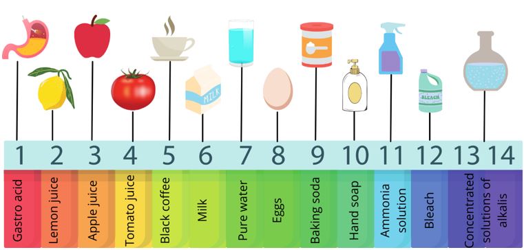 PH Diagram