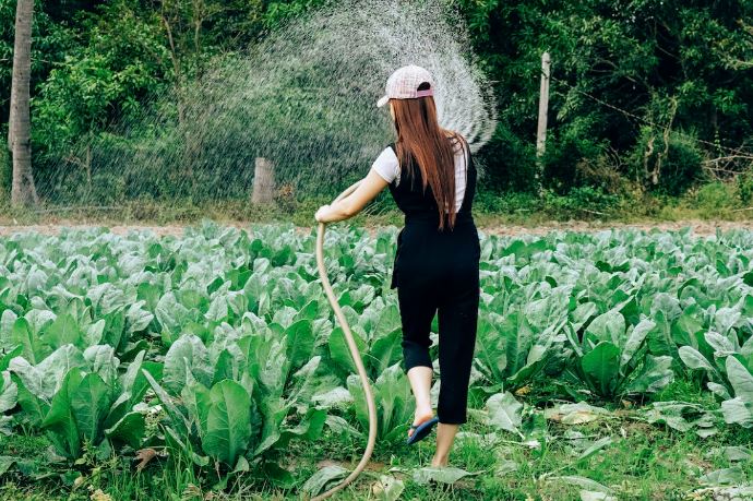 Watering